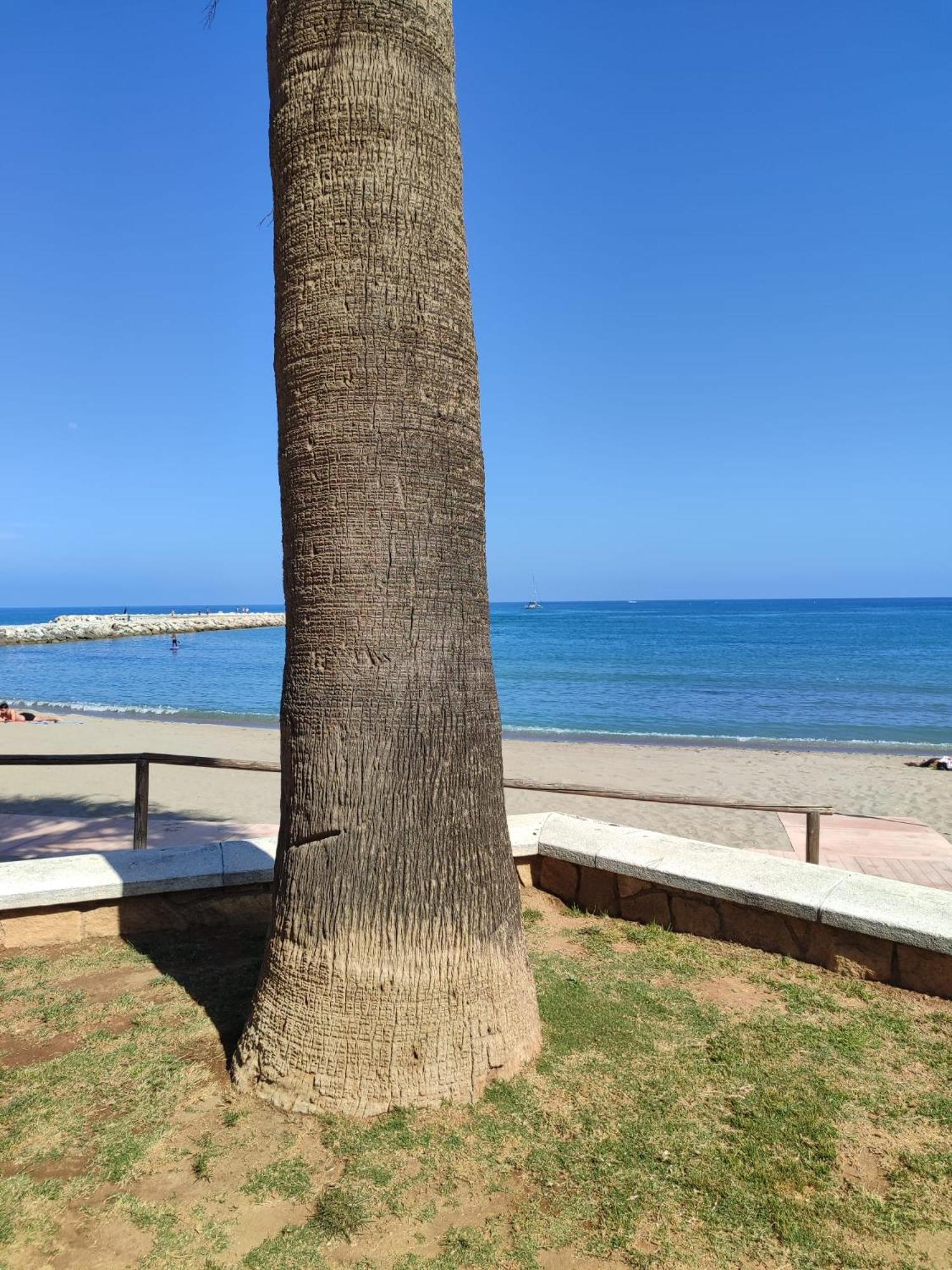 Fuengirola Reyes Beach Kültér fotó